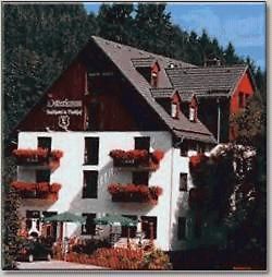Landhotel Osterlamm Beierfeld Eksteriør billede